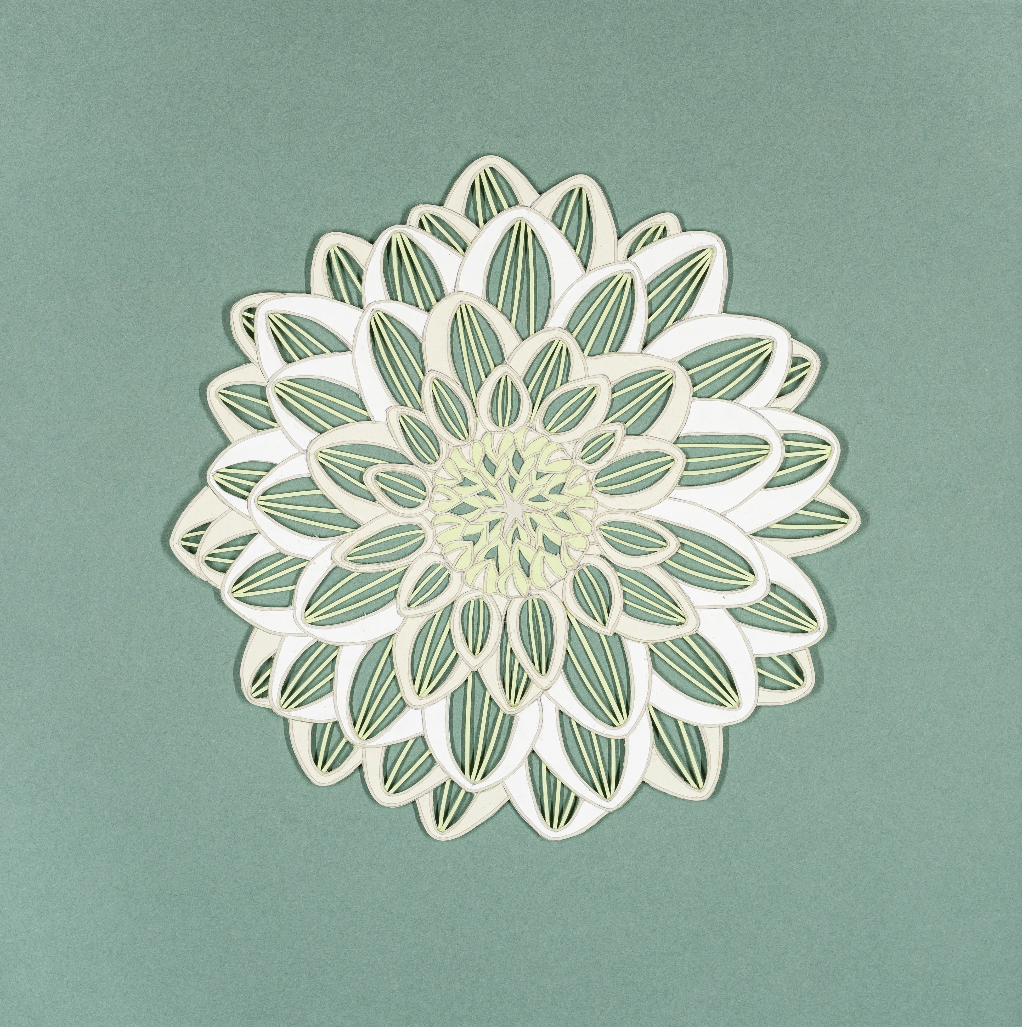 Dahlia Hortensis ‘Frost’ paper cut art by Yola and Daria